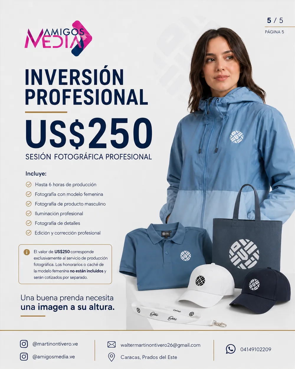 Lámina 5: inversión profesional